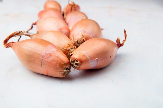 Side view of shallots on white background with copy space