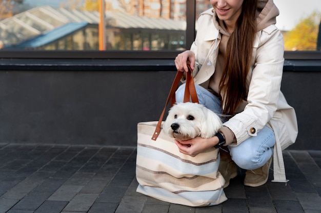 Free Photo side view smiley woman carrying dog in bag