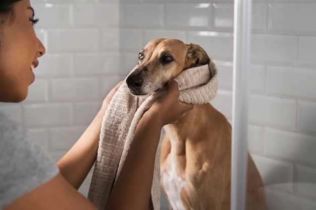 Free Photo side view smiley woman washing dog