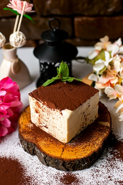 Side view of suffle cake with cocoa powder and mint on the top