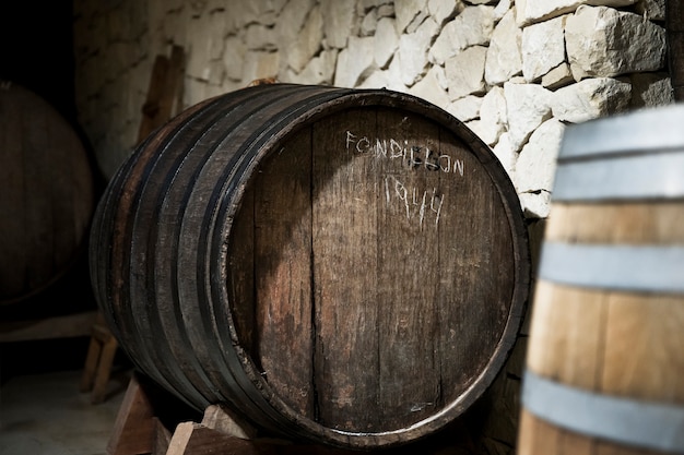 Free photo side view wine cellar with old wine barrels