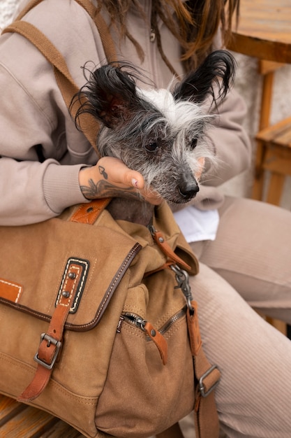 Free Photo side view woman carrying puppy in bag