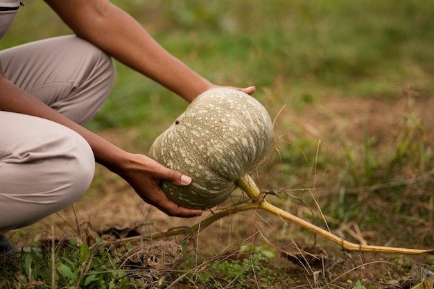 Side view woman holding pumpkin