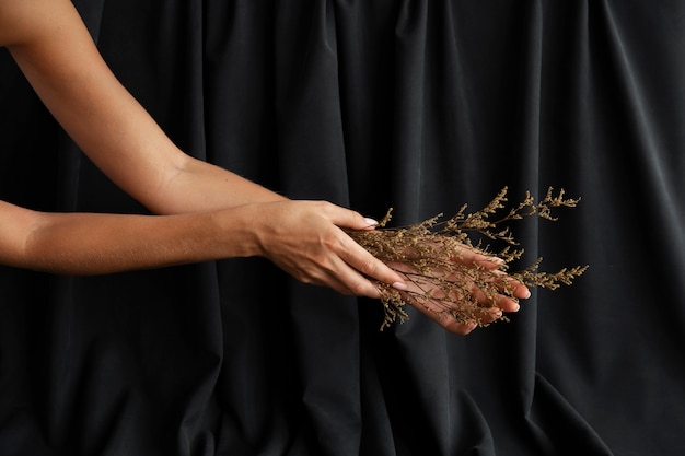 Side view woman's hands holding plant