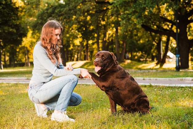 Side view of a woman shaking dog's paw in garden