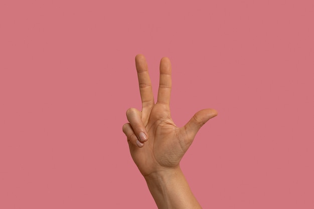 Free photo sign language gesture isolated on pink