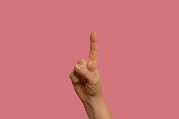 Free photo sign language gesture isolated on pink