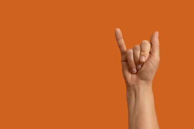 Sign language hand gesture with copy space