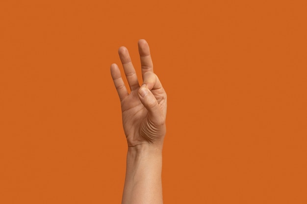 Sign language symbol isolated on orange