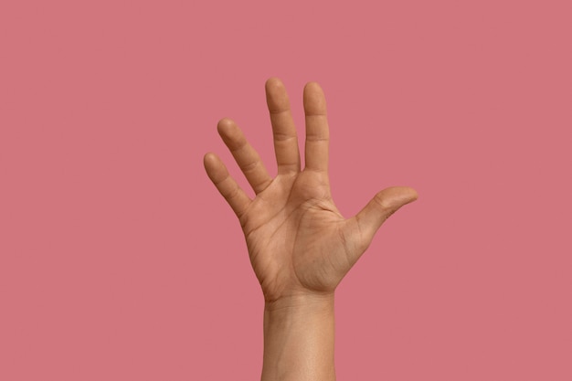 Sign language symbol isolated on pink