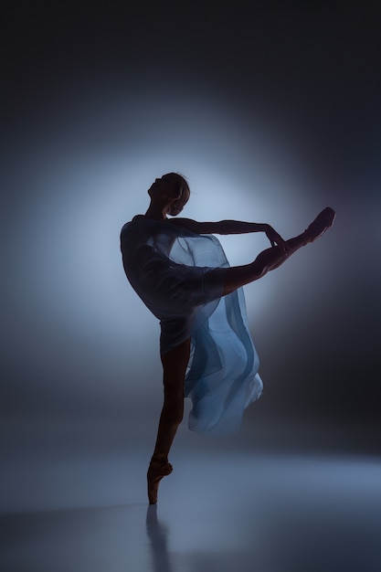 Free Photo  silhouette of beautiful ballerina dancing with veil on  dark blue background