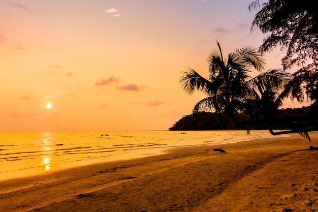 Silhouette coconut palm tree