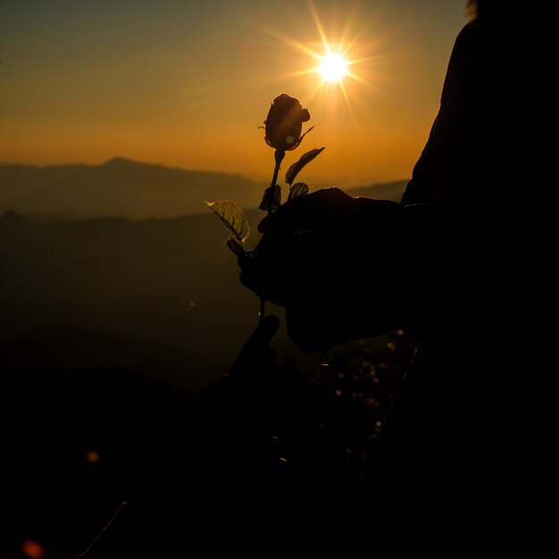 Silhouette of couple holding rose on hill at the sunset time skyline on background