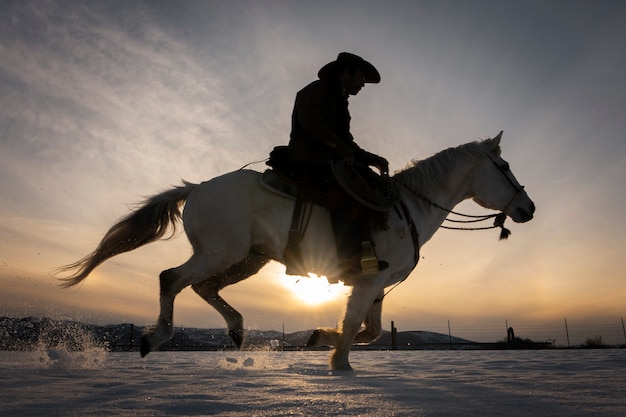 Silhouette of cowboy on a horse