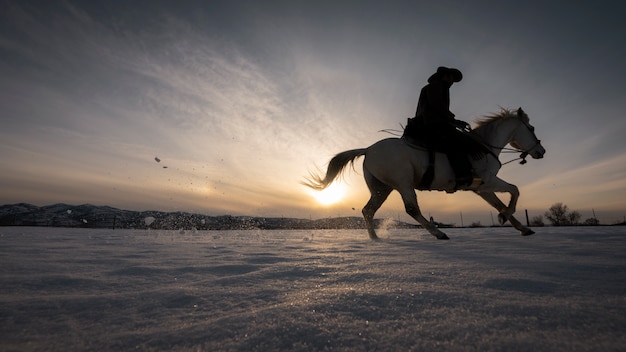 Free photo silhouette of cowboy on a horse