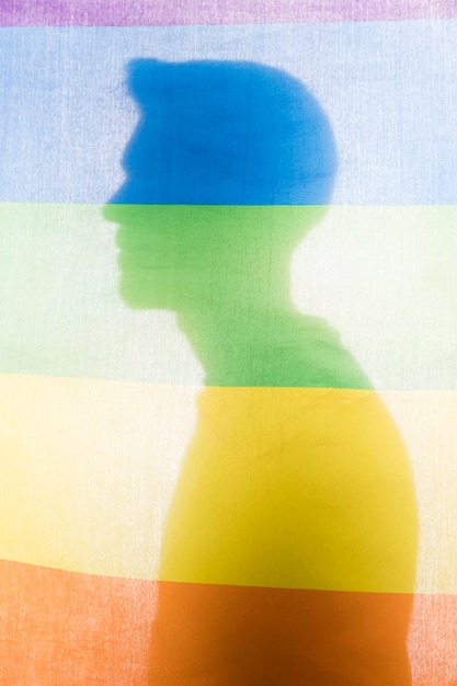 Free Photo silhouette of male behind rainbow flag