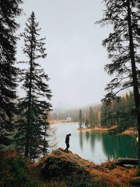 Silhouette of a man walking in woods near a lake during foggy weather