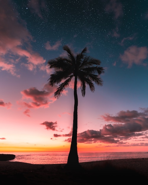 Free photo silhouette of a palm tree under a galaxy sky at sunset