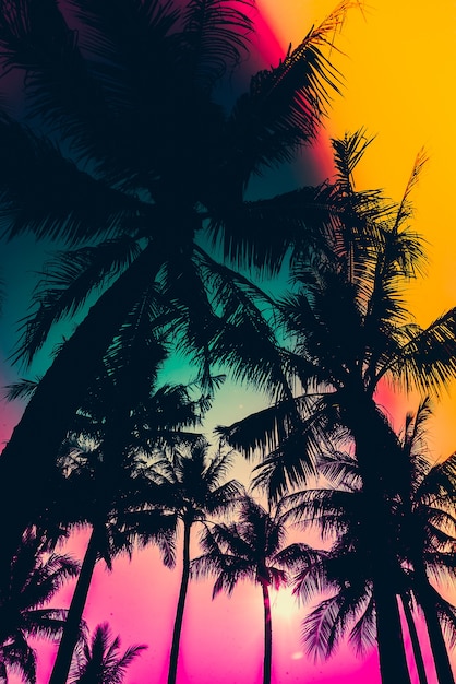 Silhouette of palm trees with colorful sky