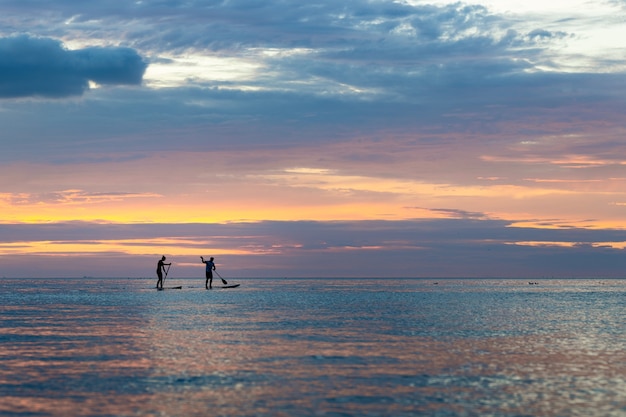 Silhouette of people paddleboarding during sunset