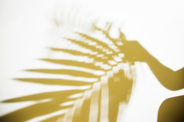 Free photo silhouette of a person holding blurred palm leaf on white backdrop