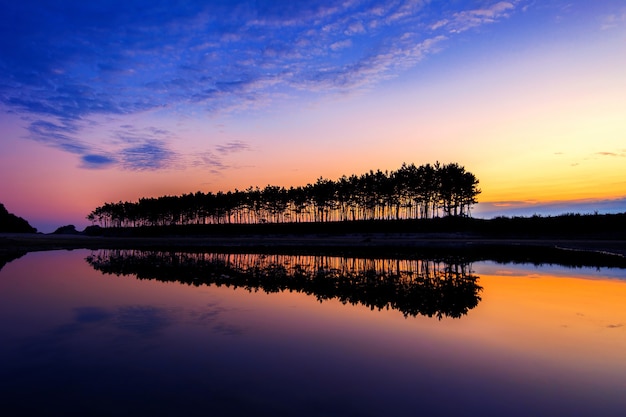 Silhouette and Reflections of row tree at sunset