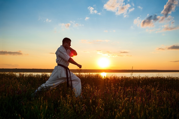 Free photo silhouette of sportive man training karate in field at sunrise.