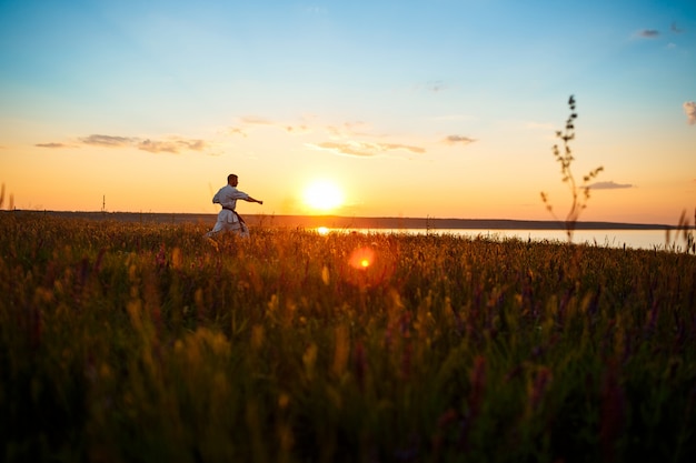 Silhouette of sportive man training karate in field at sunrise.