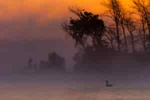 Free photo silhouette of sunrise around the trees in the peninsula of michigan