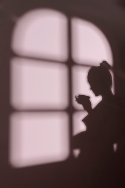 Free photo silhouette of young woman at home with window shadows