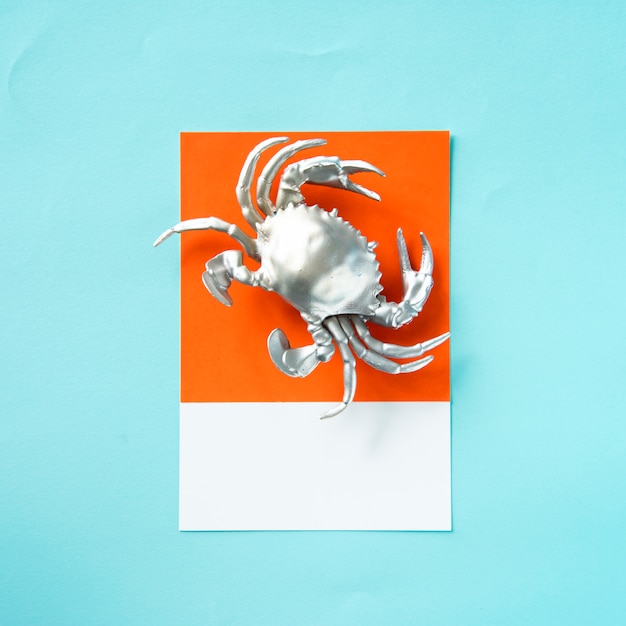 Free photo silver crustacean crab on paper