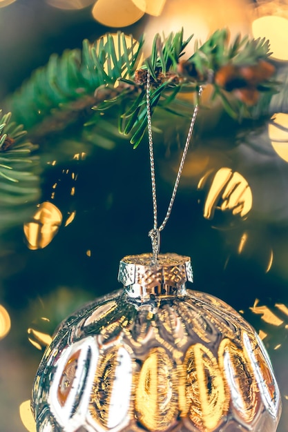 Free Photo silver shiny christmas ball on a christmas tree branch closeup