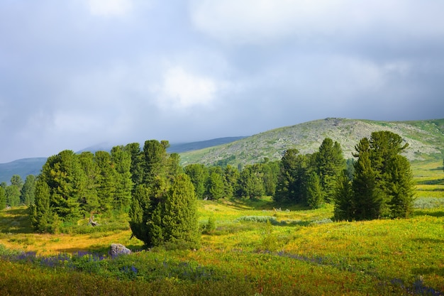 Simple  mountains landscape