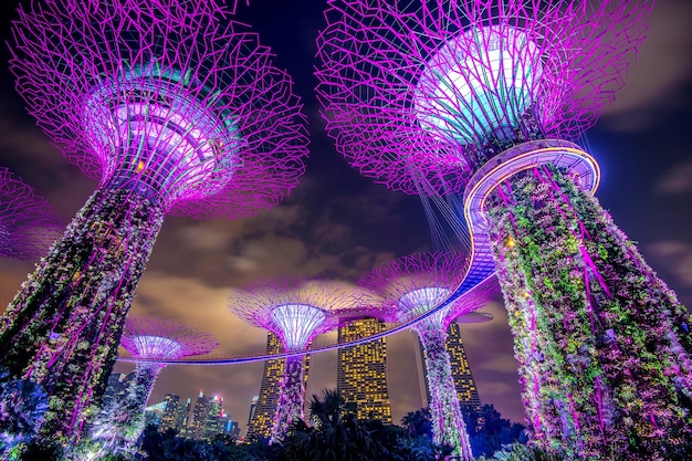 Free Photo singapore - feb 11 , 2017 : singapore cityscape at night in singapore.