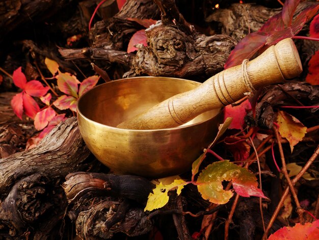 Singing bowl placed on a tree log surrounded by autumn leaves