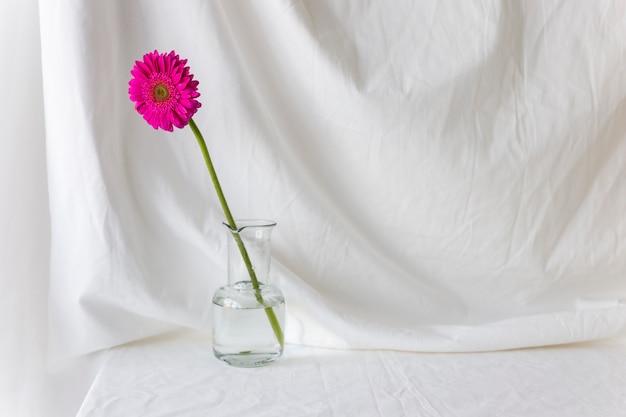 Free photo single pink gerbera flower in vase on white desk