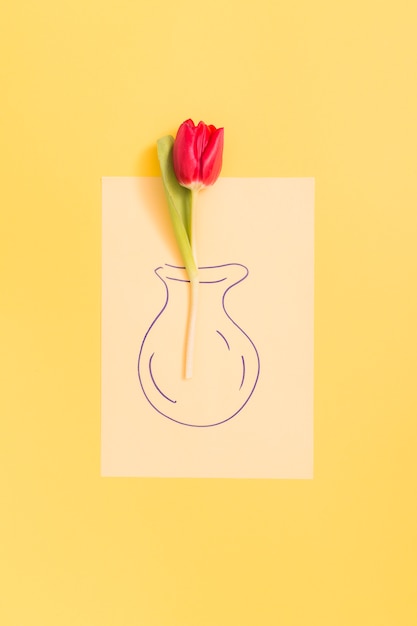 Free Photo single red tulip flower on drawn vase over yellow backdrop