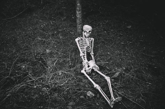 Sitting skeleton leaned on tree in dark forest