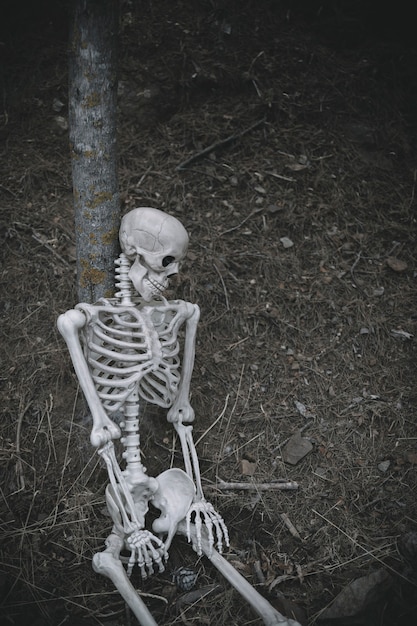 Free Photo sitting skeleton leaned on tree in forest