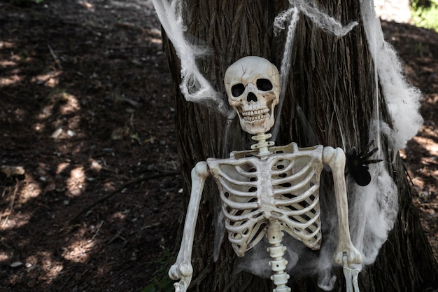 Free Photo skeleton leaning on tree with fake cobweb 