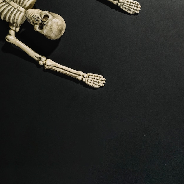 Free Photo skeleton lying with hands up