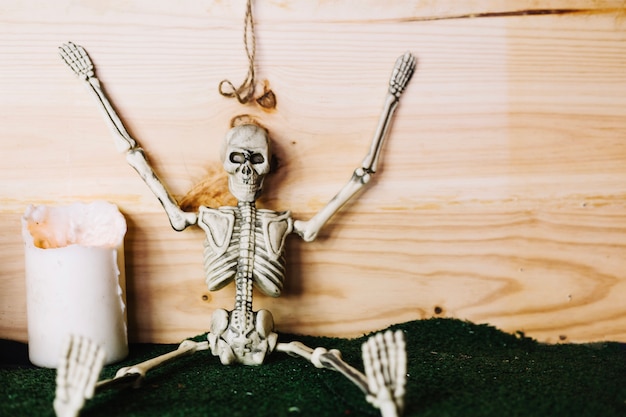 Free photo skeleton sitting with hands up