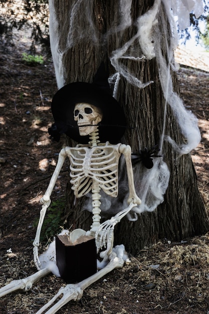 Free photo skeleton in witch hat sitting near tree