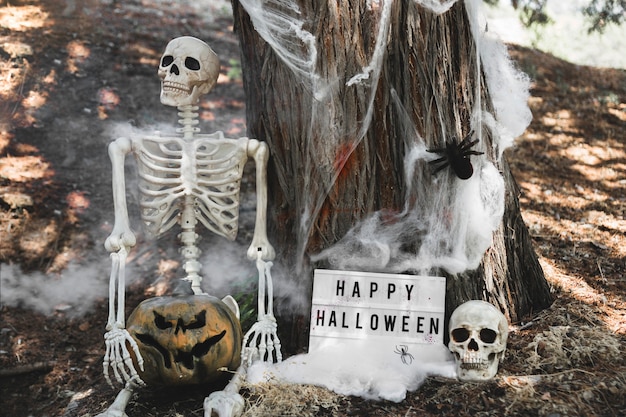 Free Photo skeleton with pumpkin sitting in fog near tablet leaning on tree