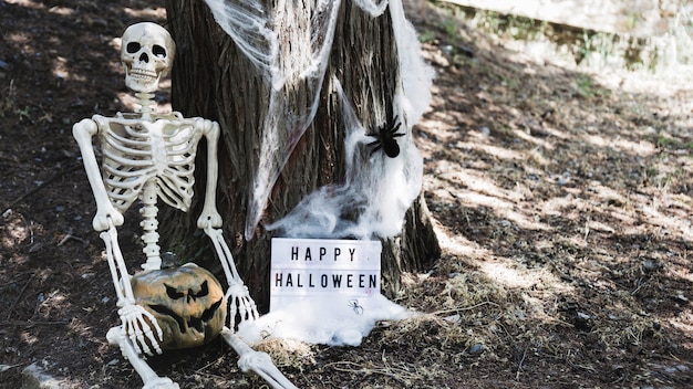 Free Photo skeleton with pumpkin sitting near halloween board leaning on wood