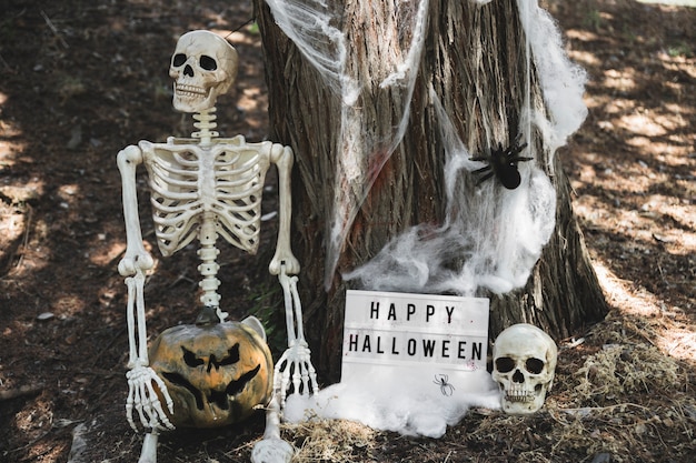 Free photo skeleton with pumpkin sitting near halloween tablet leaning on tree