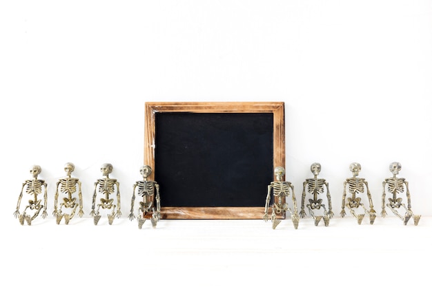 Free photo skeletons near empty blackboard