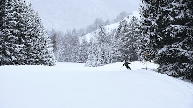 Skier going through the slopes of Alpe d Huez ski resort, lined with trees, in the French alps