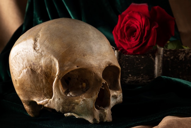 Free photo skull and flower arrangement still life