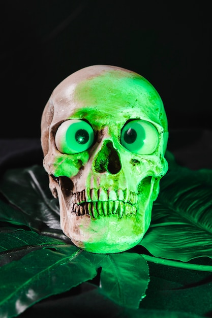 Free photo skull illuminated by green light